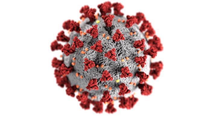 Rutland Herald: Schools begin to adopt vaccine mandates