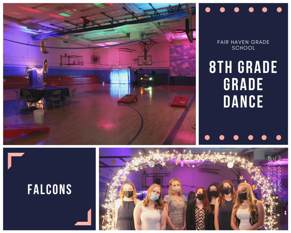 Live Feed Fair Haven Grade School