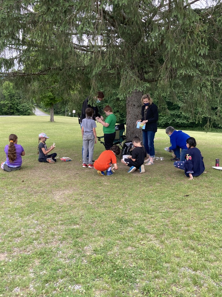 Science Day