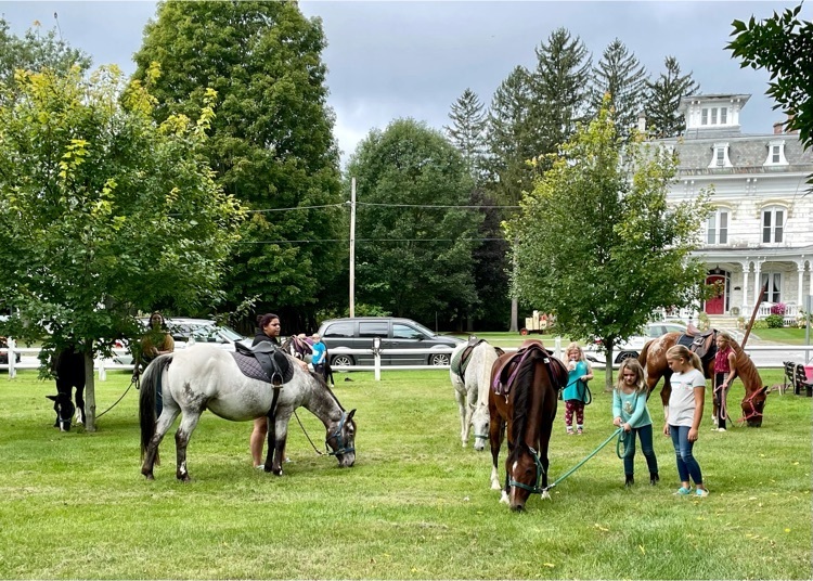 pony rides
