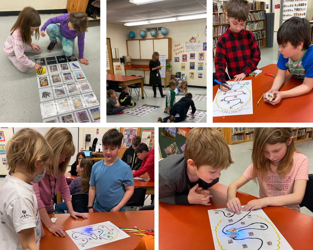 CES Library Honey Bee Book Ozobots Project