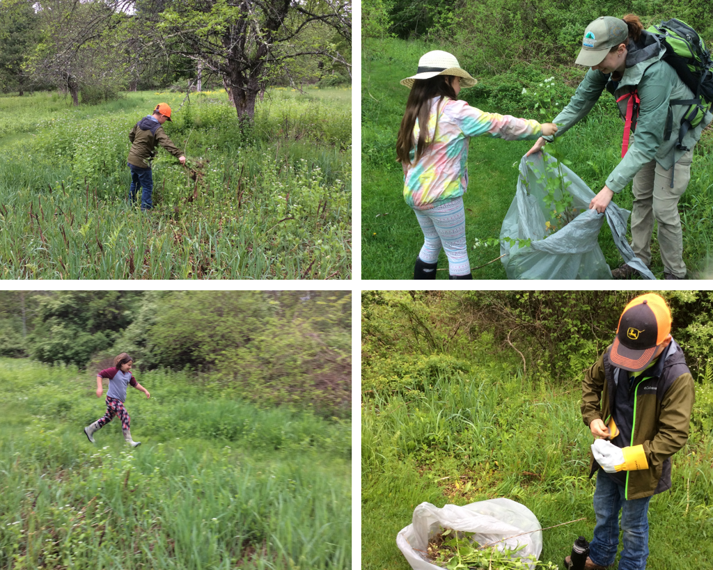 Lake St. Catherine Invasive Species Class Trip