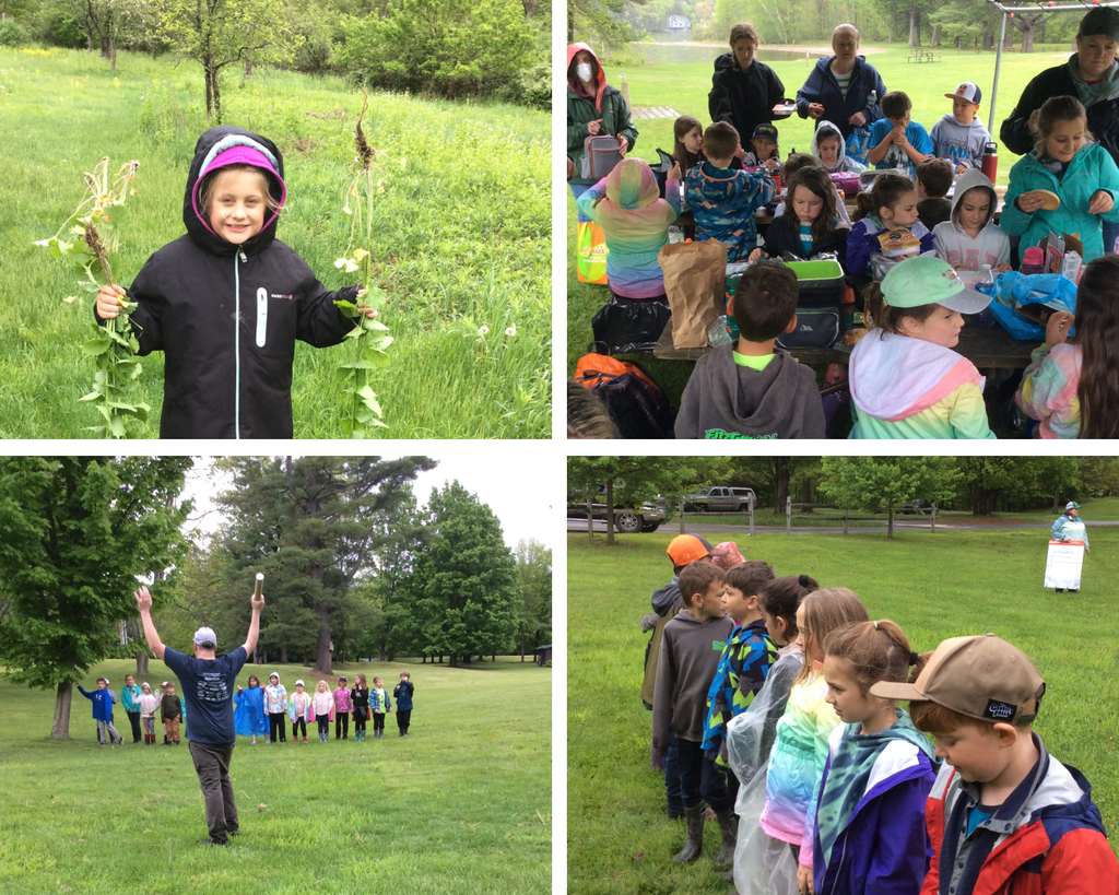 Lake St. Catherine Invasive Species Class Trip