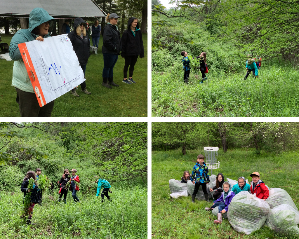 Lake St. Catherine Invasive Species Class Trip