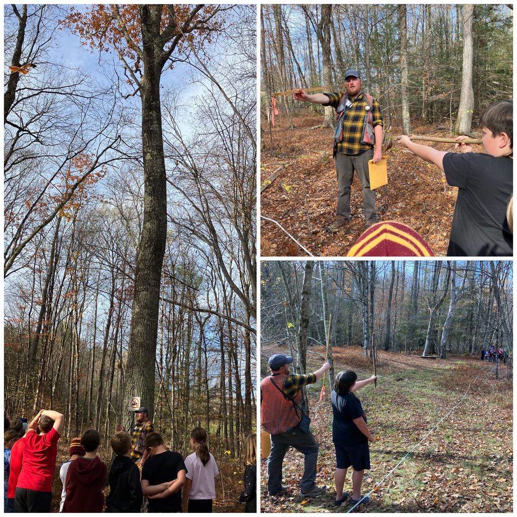 4th Grade Forestry Unit: Measuring Trees