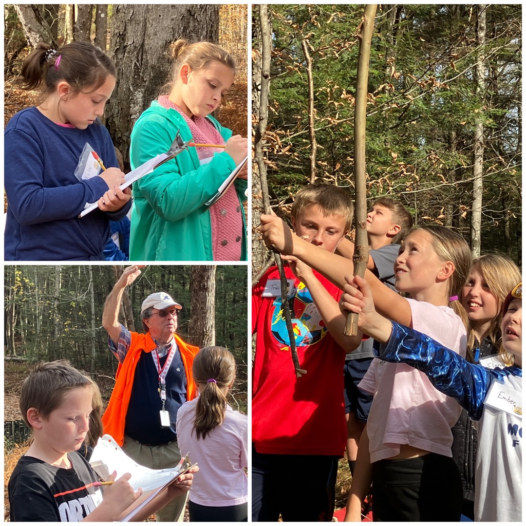 4th Grade Forestry Unit: Determining the Tree's Height