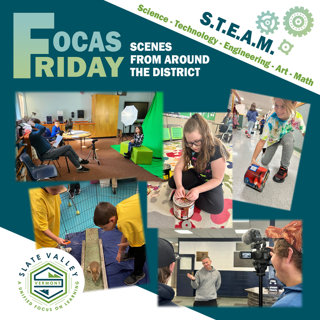 District STEAM Projects