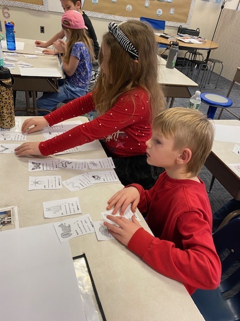 classifying animals