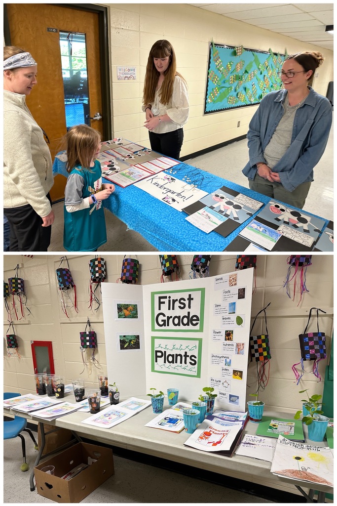 Live Feed Castleton Elementary School