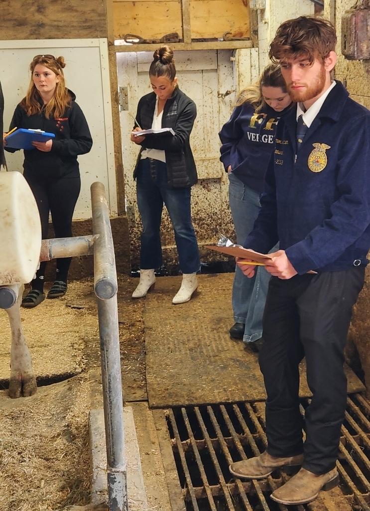 FFA Dairy Cattle Evaluation