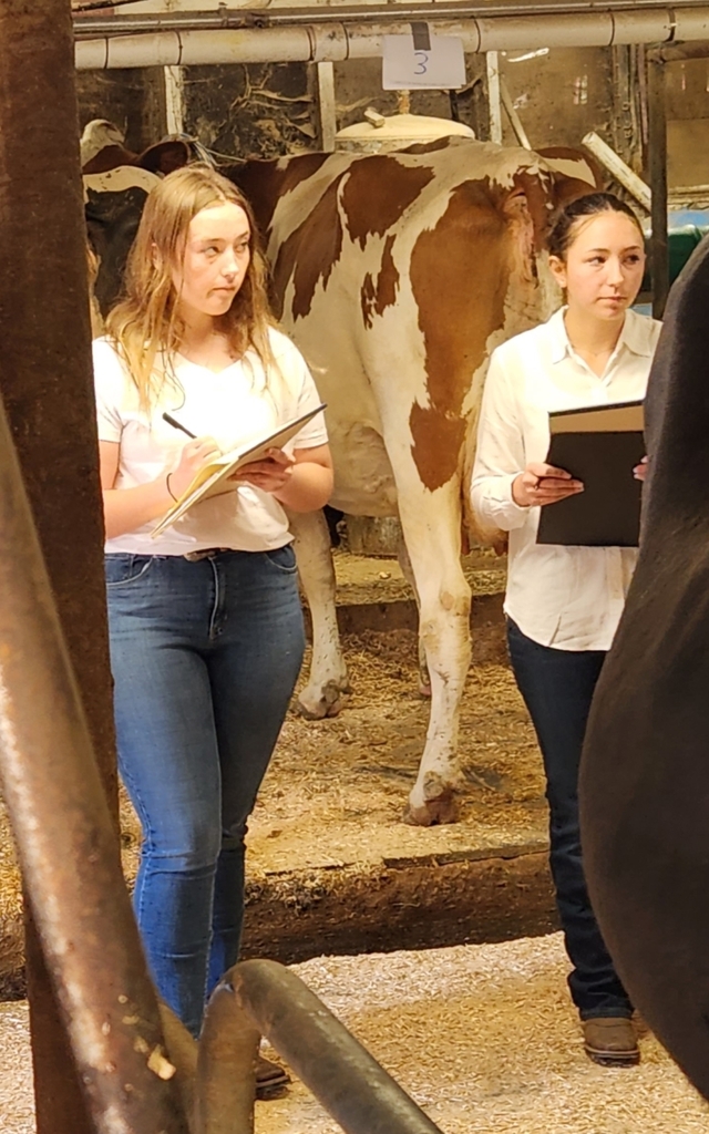 FFA Dairy Cattle Evaluation