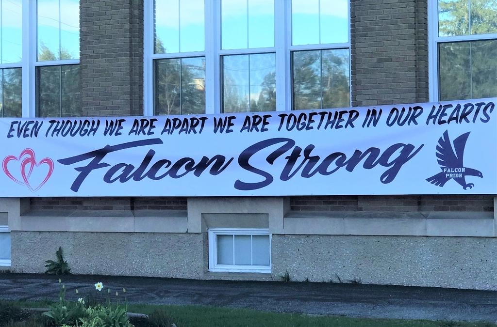 Falcon Strong